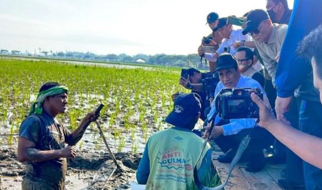 Mentan Tinjau Langsung Pemulihan Sawah Terdampak Bencana di Aceh, Anggarkan Rp1,49 Triliun untuk Rehabilitasi