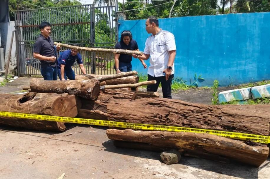 Pembalakan Liar di Taman Nasional Gunung Ciremai, Lima Orang Ditetapkan sebagai Tersangka