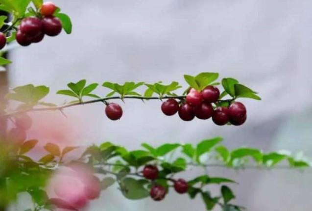 Tren Wisata Visual Dongkrak Minat Generasi Z ke Destinasi Estetik di Bekasi