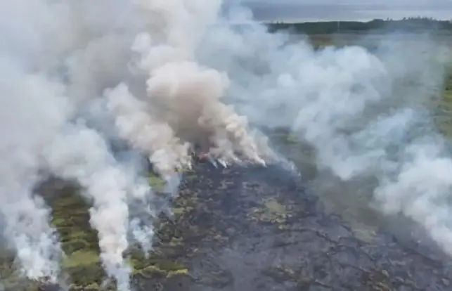 Kotim Tetapkan Status Siaga Darurat Karhutla, 61 Titik Panas Terdeteksi dalam Tiga Pekan