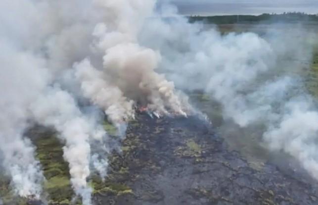 Kotim Tetapkan Status Siaga Darurat Karhutla, 61 Titik Panas Terdeteksi dalam Tiga Pekan