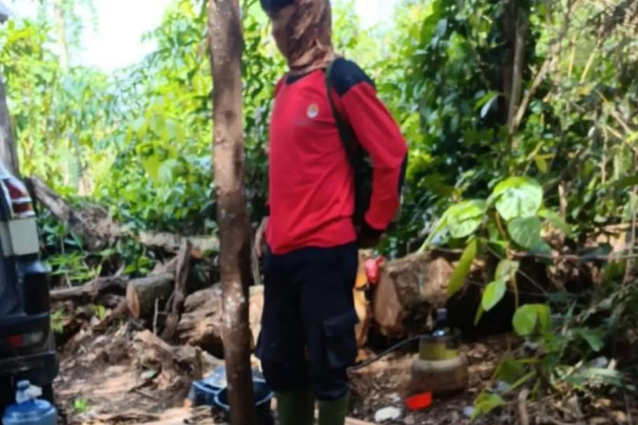 Pelaku Pembalakan Liar di Taman Nasional Tesso Nilo Ditangkap, Terancam 10 Tahun Penjara