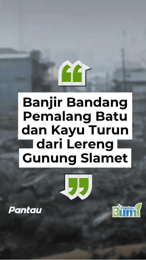 BANJIR BANDANG PEMALANG BATU DAN KAYU TURUN DARI LERENG GUNUNG SLAMET