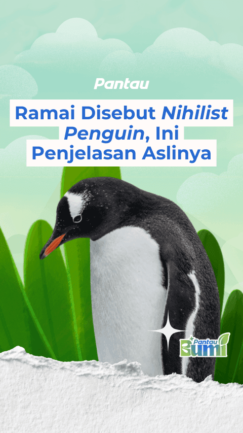 RAMAI DISEBUT NIHILIST PENGUIN, INI PENJELASAN ASLINYA