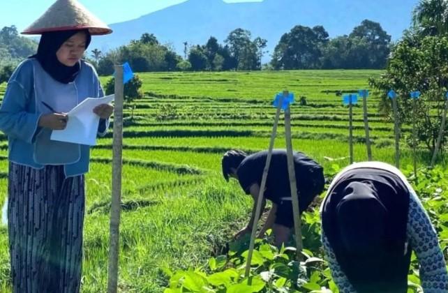 UNIB Buka S1 Penyuluhan Pertanian untuk Siapkan SDM Pertanian dan Pesisir