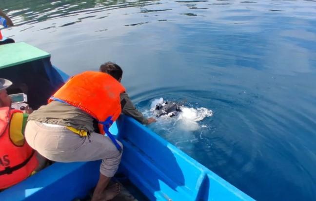 Basarnas Hentikan Pencarian Dosen Unkhair yang Hilang di Perairan Halmahera Selatan