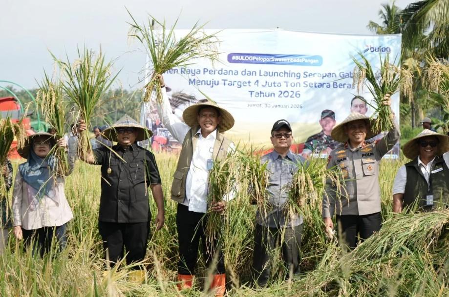 NTB Jadi Tumpuan Penyerapan Beras Nasional, Bulog Targetkan 240 Ribu Ton pada 2026