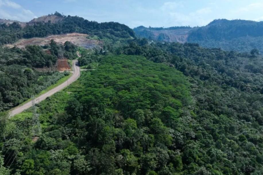 Kementerian ESDM Siapkan Evaluasi Lengkap Pascapencabutan Izin Tambang Martabe oleh Satgas PKH