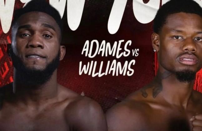 Adames Sakit, Duel Juara Dunia Kelas Menengah WBC Kontra Williams Resmi Batal