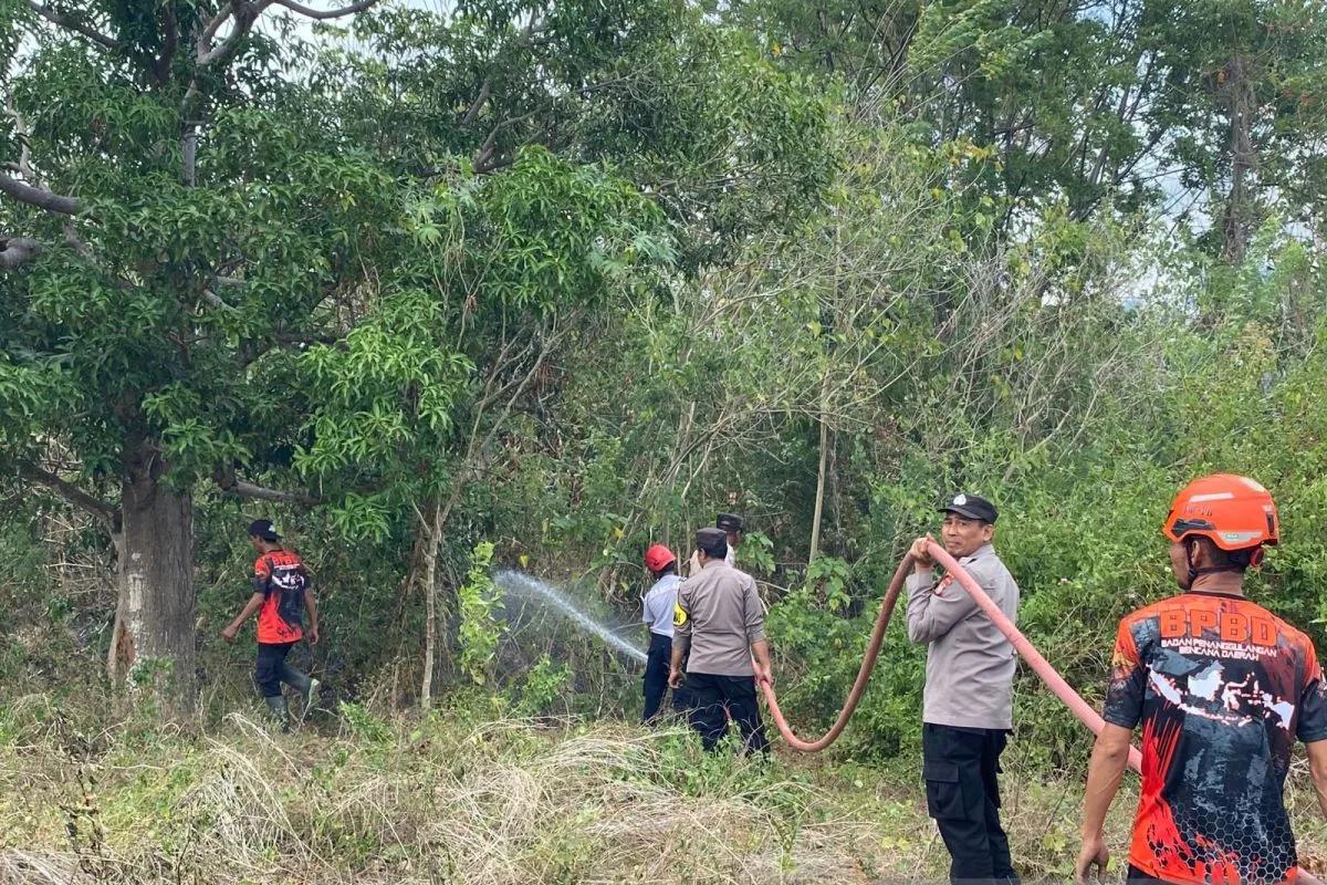 Sepekan Diterjang Bencana, BNPB Catat Longsor hingga Karhutla di Berbagai Wilayah Indonesia