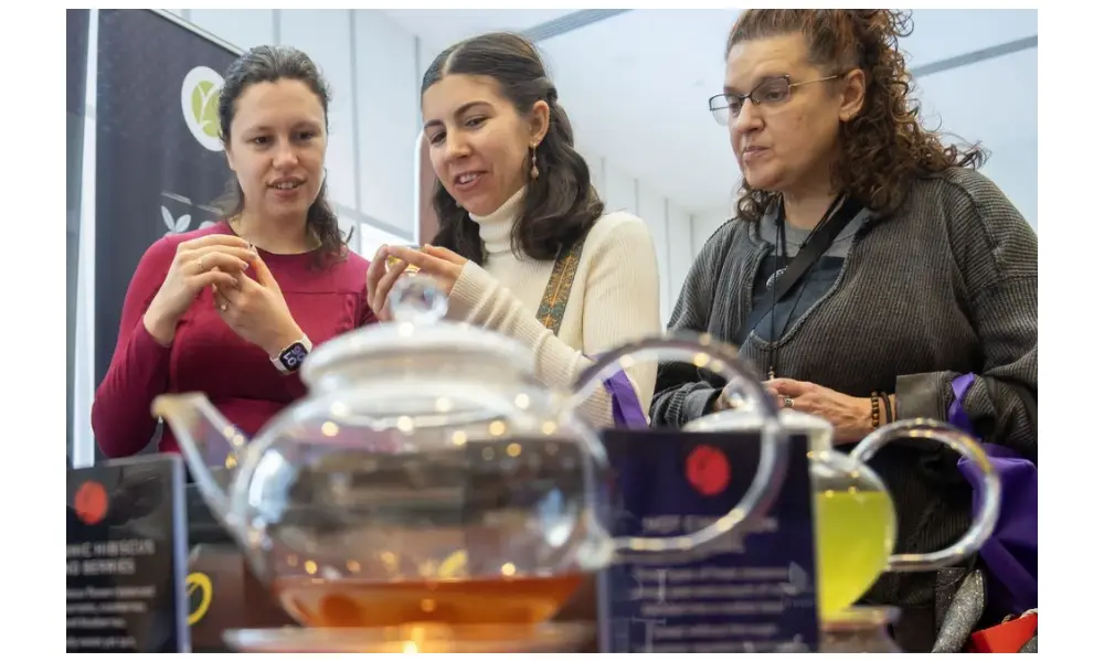 Festival Teh Toronto 2026 Meriahkan Tahun Baru Imlek dengan Promosi Budaya dan Gaya Hidup Sehat