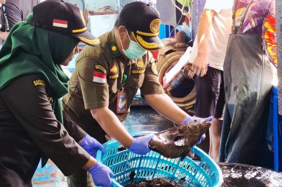 Ekspor Perdana Ikan Hidup Natuna ke Hong Kong Dikawal Ketat Karantina Kepri, Total Nilai Capai Rp861 Juta