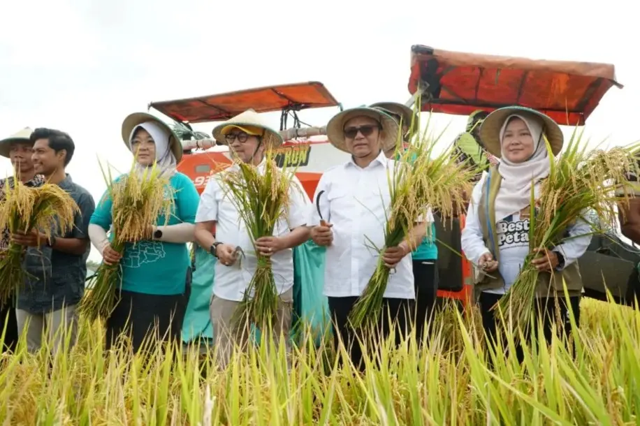 Panen Padi Tembus 10,28 Ton per Hektare, Pemkab Pati Buktikan Keberhasilan Program Pertanian