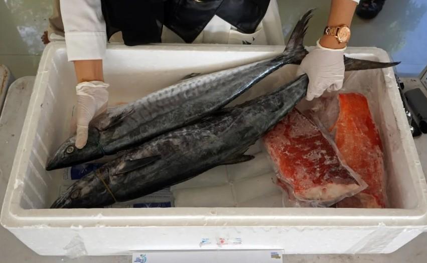 KKP Siapkan Strategi Diplomasi dan Fasilitasi untuk Jaga Akses Pasar Ekspor Perikanan 2026