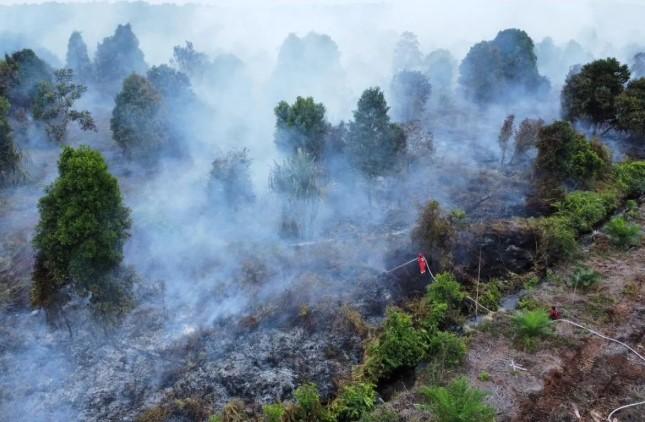 Balai Pengendalian Karhutla Sumatera Tegaskan Strategi Lokalisasi Api di Riau untuk Cegah Meluasnya Kebakaran