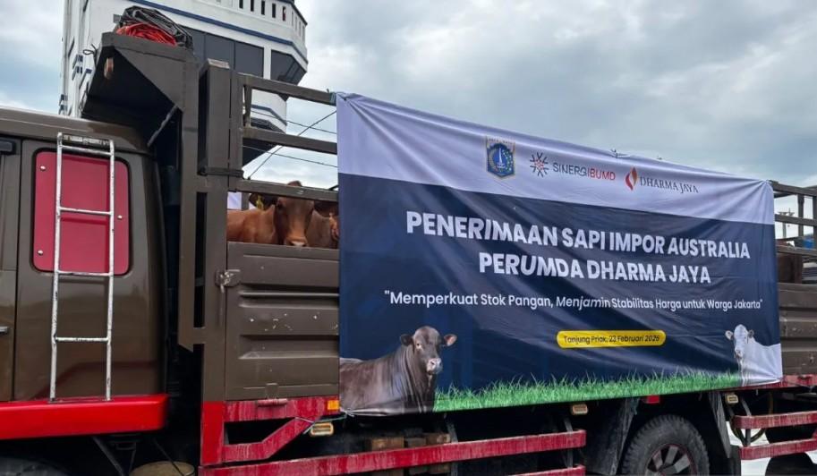 Impor 3.100 Sapi dari Australia, Pemprov DKI Jakarta Kendalikan Harga Daging Jelang Ramadhan dan Idul Fitri
