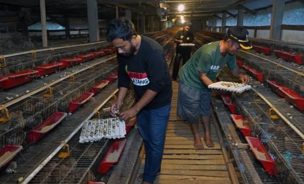 BGN Tegaskan Bahan Baku SPPG Tidak Boleh Didominasi Satu Pemasok