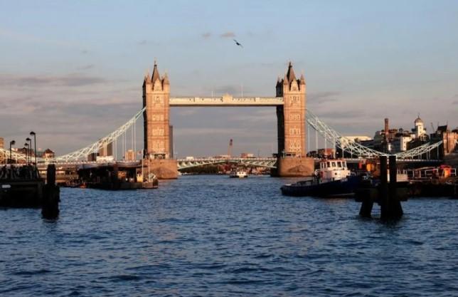 Tarif Baru 15 Persen yang Diumumkan Donald Trump Picu Kekhawatiran Dunia Usaha Inggris