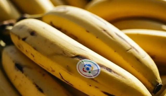 Google Luncurkan Nano Banana 2 dengan Kecepatan Tinggi dan Fitur Real-Time Berbasis Gemini 3.1 Flash Image