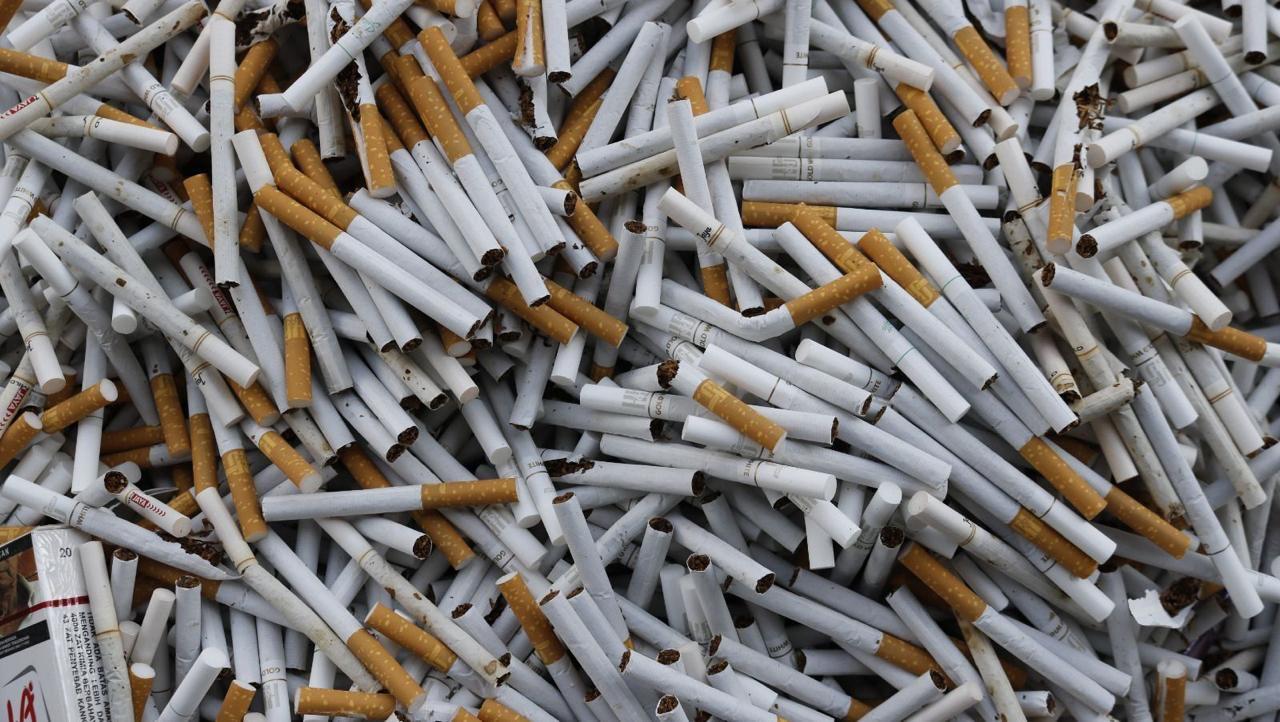 Respons Cepat Bea Cukai Malang Gagalkan Peredaran 2,4 juta Batang Rokok Ilegal di Pujon