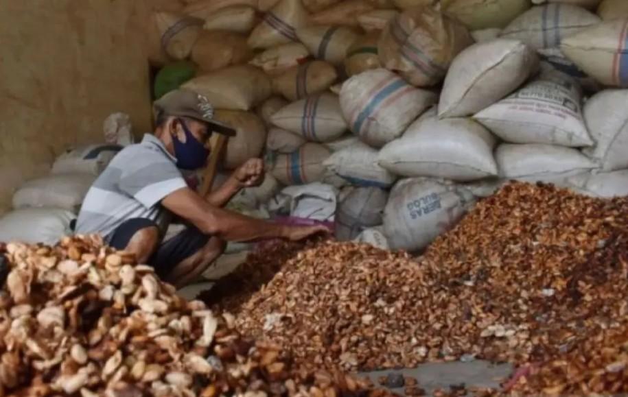 Kemendag Sebut Harga Referensi Biji Kakao Maret 2026 Anjlok 29,21 Persen akibat Penurunan Permintaan