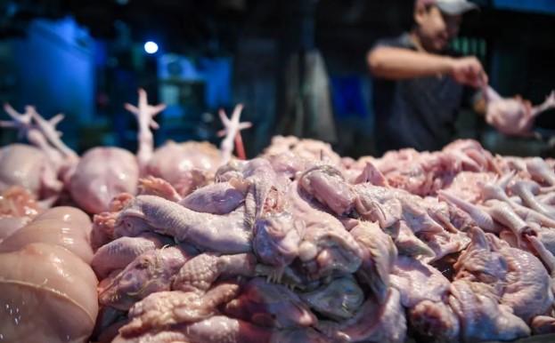 Pemprov DKI Pastikan Stok Pangan Jakarta Aman Meski Ada Konflik AS-Israel dan Iran