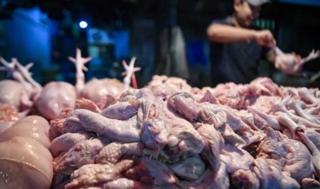Harga Cabai Rawit dan Daging Ayam Ras Picu Lonjakan IPH di Sejumlah Daerah Selama Ramadhan