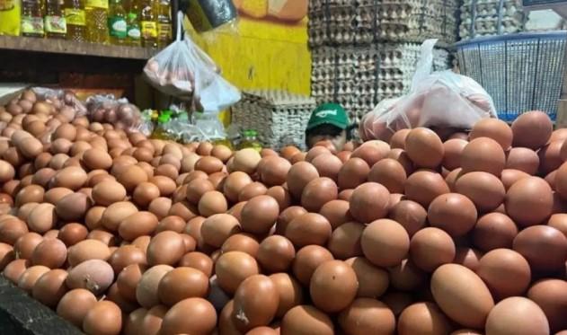 BPS Sebut Jelang Lebaran 2026 Harga Telur di Sejumlah Daerah Mengalami Kenaikan