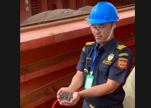 Ekspor 18.000 Ton Cangkang Sawit ke Jepang Sumbang Devisa USD1,98 Juta