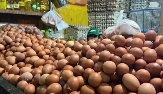 BPS Catat Harga Telur Ayam Ras Naik di 210 Daerah, Beberapa Wilayah Tembus Jauh di Atas Harga Acuan