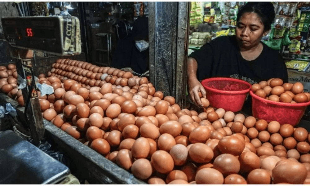 Harga Pangan Nasional: Telur Rp33.050 dan Cabai Rawit Merah Rp84.550 per Kilogram