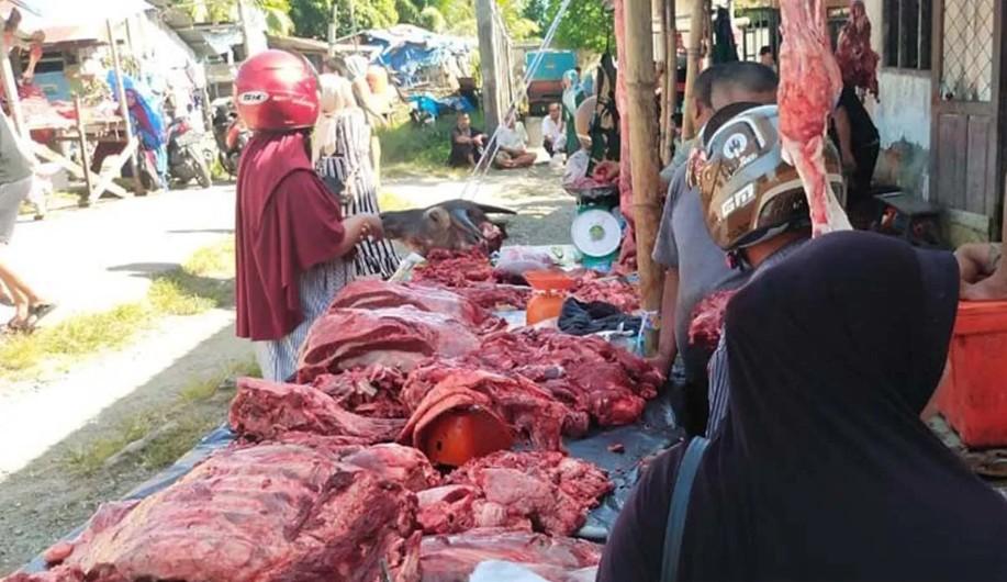 Presiden Prabowo Salurkan 15 Ekor Sapi untuk Tradisi Meugang Idul Fitri di Simeulue