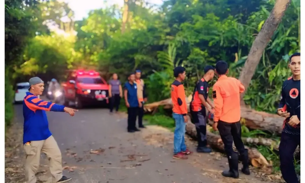 Pohon Tumbang Tutup Jalinsum OKU, Arus Lalu Lintas Sempat Lumpuh