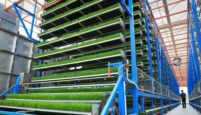 China Percepat Transformasi Pertanian Tradisional Menuju Budi Daya Pintar Berbasis Teknologi