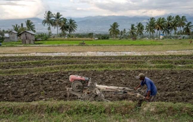 Pertanian Regeneratif Dinilai Jadi Strategi Hadapi Iklim Ekstrem di Masa Transisi El Nino