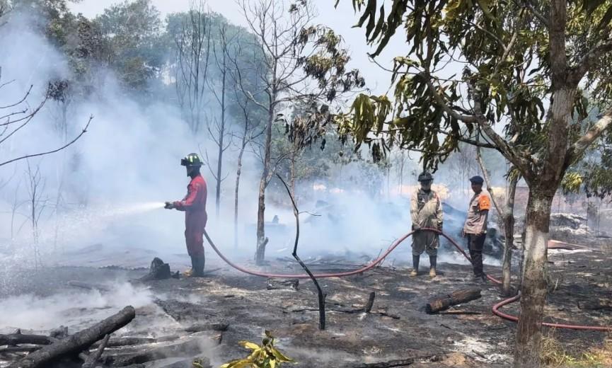 Pemerintah Kota Tanjungpinang Tetapkan Status Siaga Karhutla di Tengah Lonjakan 131 Kasus Kebakaran Awal 2026