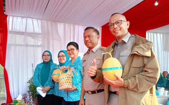 Melon Inthanon Jadi Primadona Panen Raya Urban Farming Jakarta Timur dengan Nilai Ekonomi Tinggi