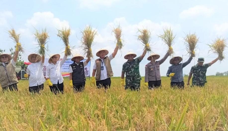 Dirut Bulog Tegaskan Target Serap 4 Juta Ton Gabah 2026 untuk Perkuat Ketahanan Pangan Nasional