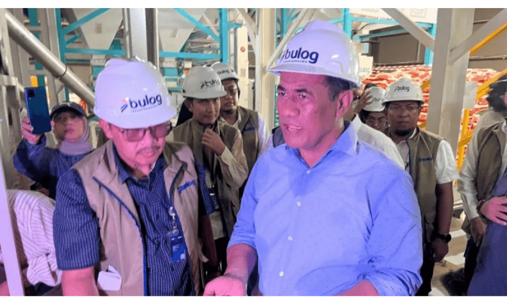 Beras SPHP Kemasan 2 Kg Segera Diluncurkan, Pemerintah Sesuaikan Kebutuhan Masyarakat