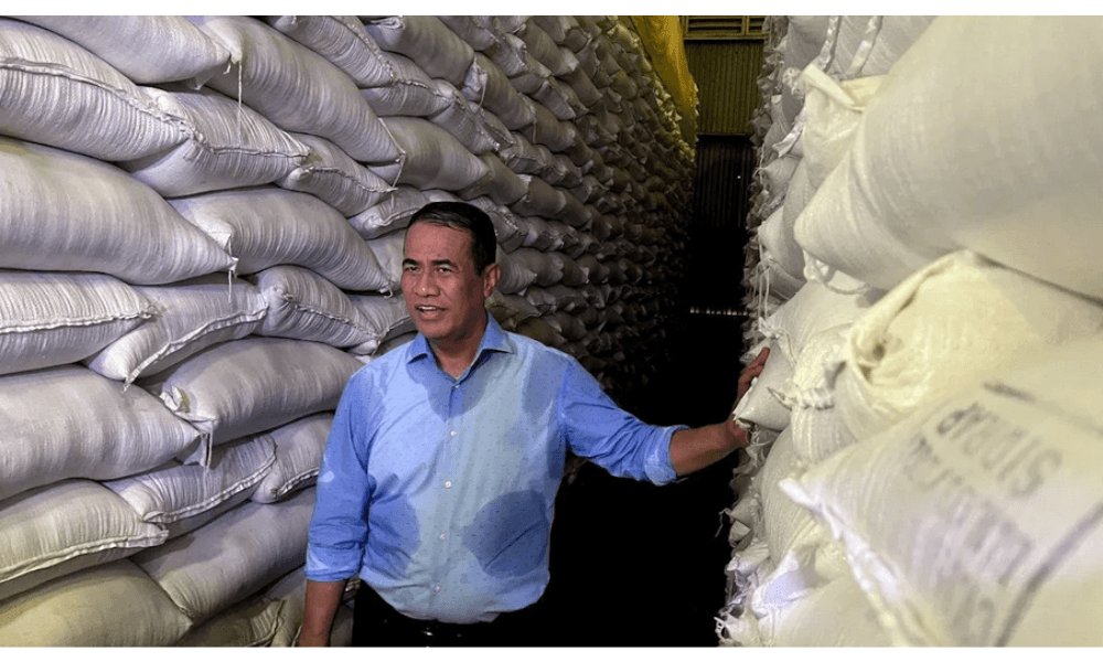 Stok Beras Capai Rekor 4,5 Juta Ton, Pemerintah Pastikan Ketahanan Pangan Aman hingga 11 Bulan