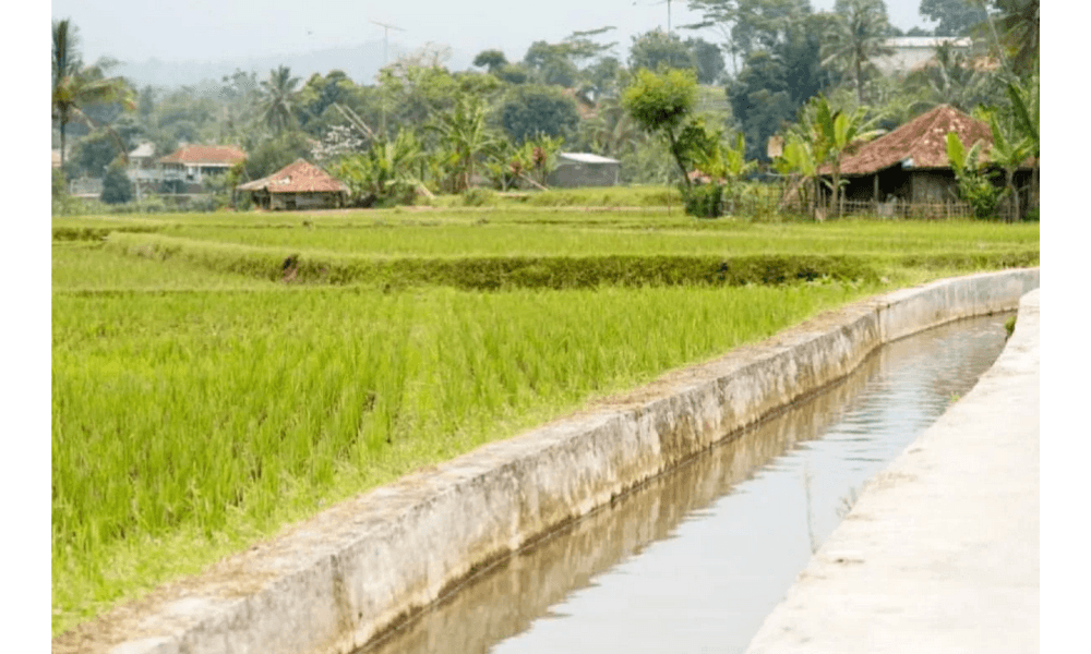Sinergi Kementan dan PUPR Percepat Irigasi untuk Antisipasi Kekeringan dan Dongkrak Produksi Pangan 2026