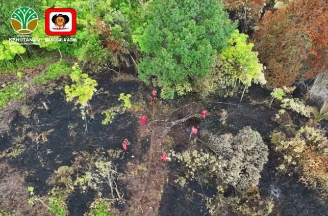 Empat Regu Dikerahkan, Karhutla Bengkalis Masih Sulit Dipadamkan