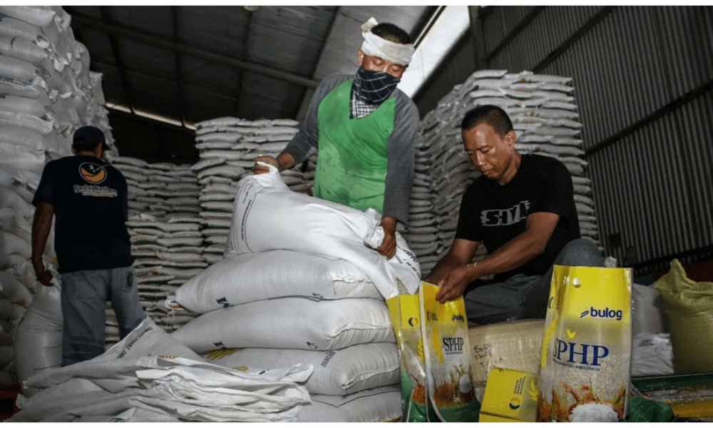 Pemerintah Perkuat Infrastruktur Gudang Hadapi Panen Raya 2026