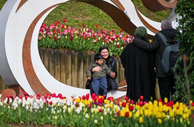 Festival Tulip Istanbul Hadirkan Jutaan Bunga Warna-Warni Sepanjang April