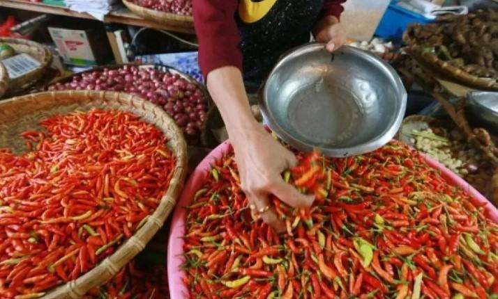 Harga Cabai Rawit Tembus Rp77.750 per Kg, Telur Ayam Rp32.450 per Kg