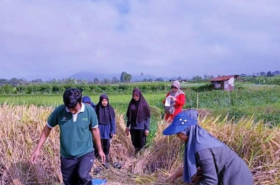 OJK Menyebut Laba Industri Asuransi Umum dan Reasuransi Capai Rp4,22 Triliun pada Maret 2026
