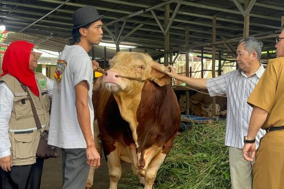 Sumatera Selatan Menerima 18 Sapi Kurban Bantuan Presiden Prabowo untuk Idul Adha 1447 Hijriah