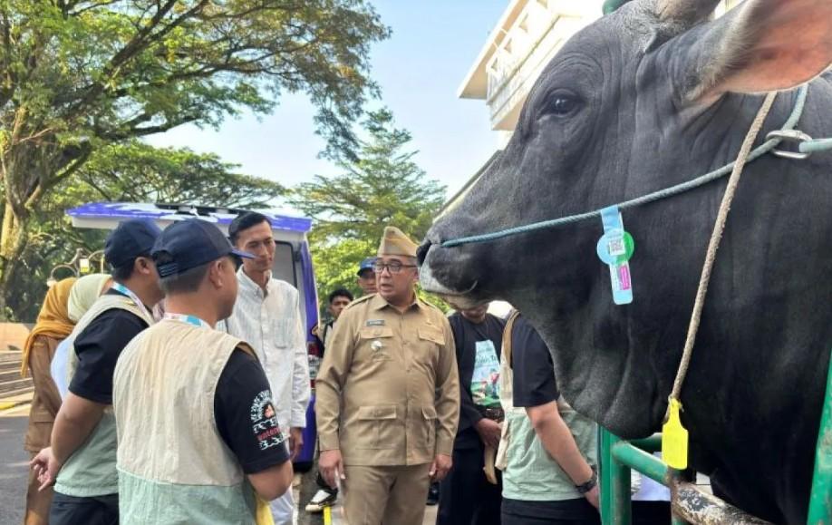 Presiden Prabowo Membeli Sapi Kurban Seberat 1,25 Ton Milik Peternak Kota Bandung