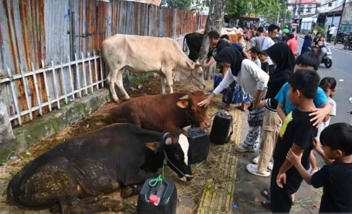 Pramono Larang Pedagang Hewan Kurban Berjualan di Trotoar dan Taman Jakarta