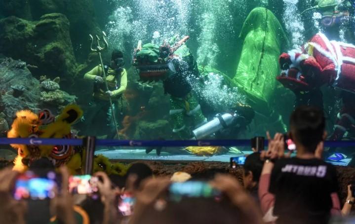 Kemenpar Gencarkan Promosi Wisata Akuarium untuk Libur Sekolah 2026